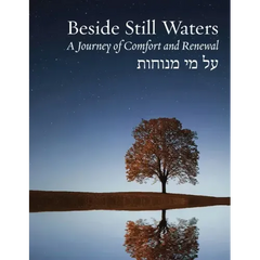 Beside Still Waters: A Journey of Comfort and Renewal - Large Print Edition