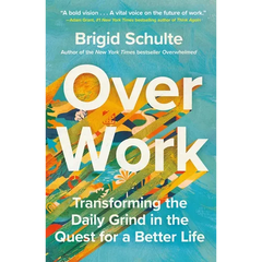 Over Work: Transforming the Daily Grind in the Quest for a Better Life