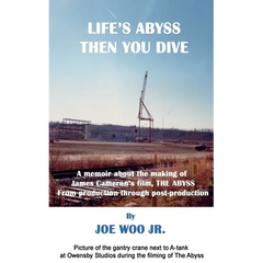 Life's Abyss Then You Dive
