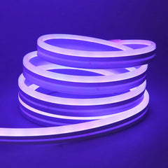 EU Plug RGB Neon Rope Light, DC24V Bluetooth App Control, Indoor/Outdoor