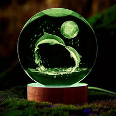 3D Dolphin Moon Crystal Ball Lamp – Laser Etched Marine Decor Gift Night Light