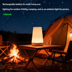 Portable RGB LED Bedside Night Lamp, 13 Colors, Dimmable, USB Rechargeable