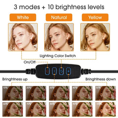 Portable 10-Inch LED Ring Light Kit with Tripod for Live Video & Photo Studio