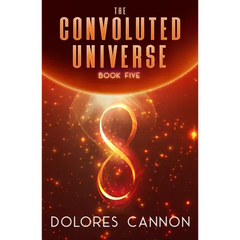 The Convoluted Universe: Book Five