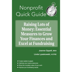 Raising Lots of Money: Essential Measures to Grow Your Finances and Excel at Fundraising