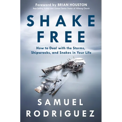 Shake Free: How to Deal with the Storms, Shipwrecks, and Snakes in Your Life