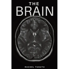 The Brain
