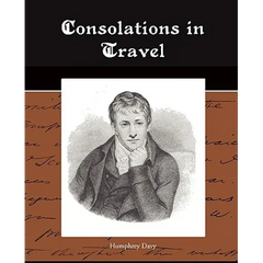 Consolations in Travel