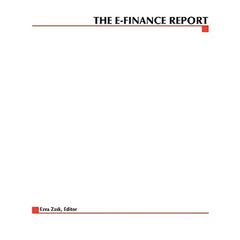 The E-Finance Report