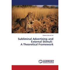 Subliminal Advertising and External Stimuli: A Theoretical Framework