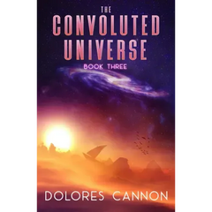 The Convoluted Universe, Book Three
