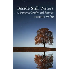 Beside Still Waters: A Journey of Comfort and Renewal