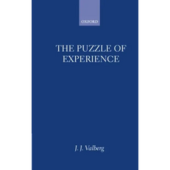 The Puzzle of Experience