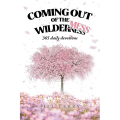 Coming Out of the WilderMess: 365 daily devotions