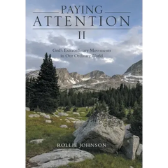 Paying Attention Ii: God's Extraordinary Movements in Our Ordinary World