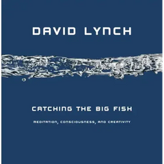 Catching the Big Fish: Meditation, Consciousness, and Creativity