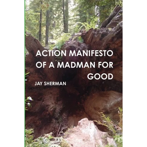 Action Manifesto of a Madman for Good