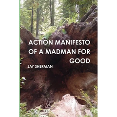Action Manifesto of a Madman for Good