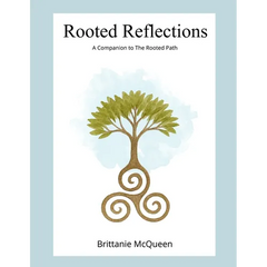 Rooted Reflections