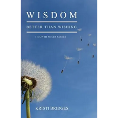Wisdom Better than Wishing: Book 1 in the 1 Month Wiser series