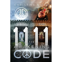 11 11 The Awakening Code