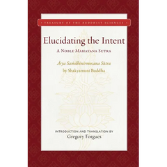 Elucidating the Intent: A Noble Mahayana Sutra