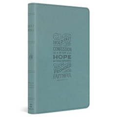 ESV Large Print Value Thinline Bible (Trutone, Paris Sky, Hebrews 10:23 Design)