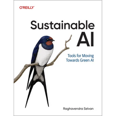 Sustainable AI: Tools for Moving Toward Green AI