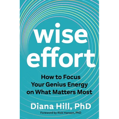 Wise Effort: How to Focus Your Genius Energy on What Matters Most
