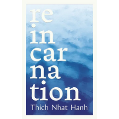 Reincarnation