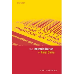 The Industrialization of Rural China