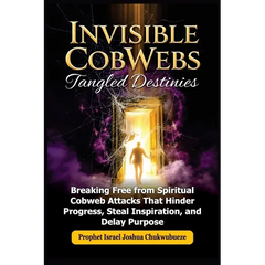 Invisible CobWebs, Tangled Destinies: Breaking Free from Spiritual Cobweb Attacks That Hinder Progress, Steal Inspiration, and Delay Purpose