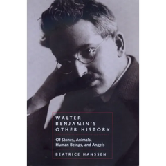 Walter Benjamin's Other History: Of Stones, Animals, Human Beings, and Angels Volume 15
