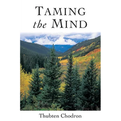 Taming the Mind