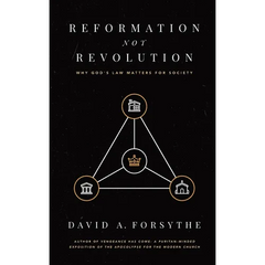 Reformation Not Revolution