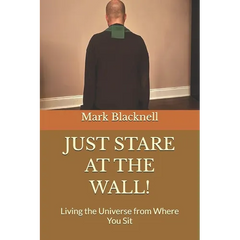 Just Stare at the Wall!: Living the Universe from Where You Sit