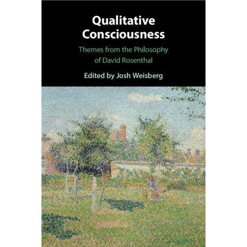 Qualitative Consciousness
