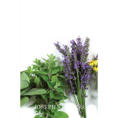 Alternative Medicines