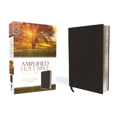 Amplified Bible-Am: Captures the Full Meaning Behind the Original Greek and Hebrew