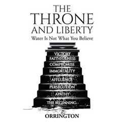 The Throne and Liberty: Water Is Not What You Believe