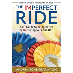 The Imperfect Ride: Your Guide to Being Better by Not Trying to Be the Best