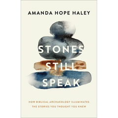 Stones Still Speak: How Biblical Archaeology Illuminates the Stories You Thought You Knew