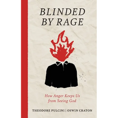 Blinded by Rage: How Anger Keeps Us from Seeing God