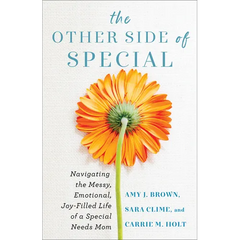 The Other Side of Special: Navigating the Messy, Emotional, Joy-Filled Life of a Special Needs Mom