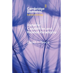 Dynamic Capabilities and Related Paradigms