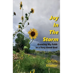 Joy In The Storm: Growing My Faith in a Very Good God
