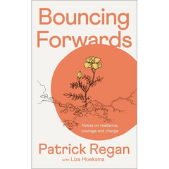 Bouncing Forwards: Notes on Resilience, Courage and Change