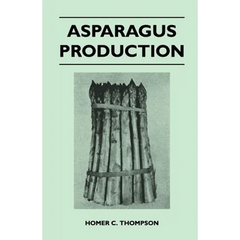 Asparagus Production