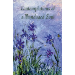 Contemplations of a Bandaged Soul: A Memoir and Other Thoughts Told Through Essays