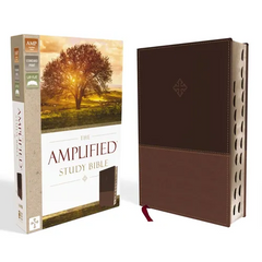 Amplified Study Bible, Imitation Leather, Brown, Indexed